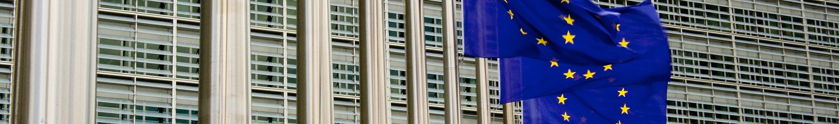 EU_Flags